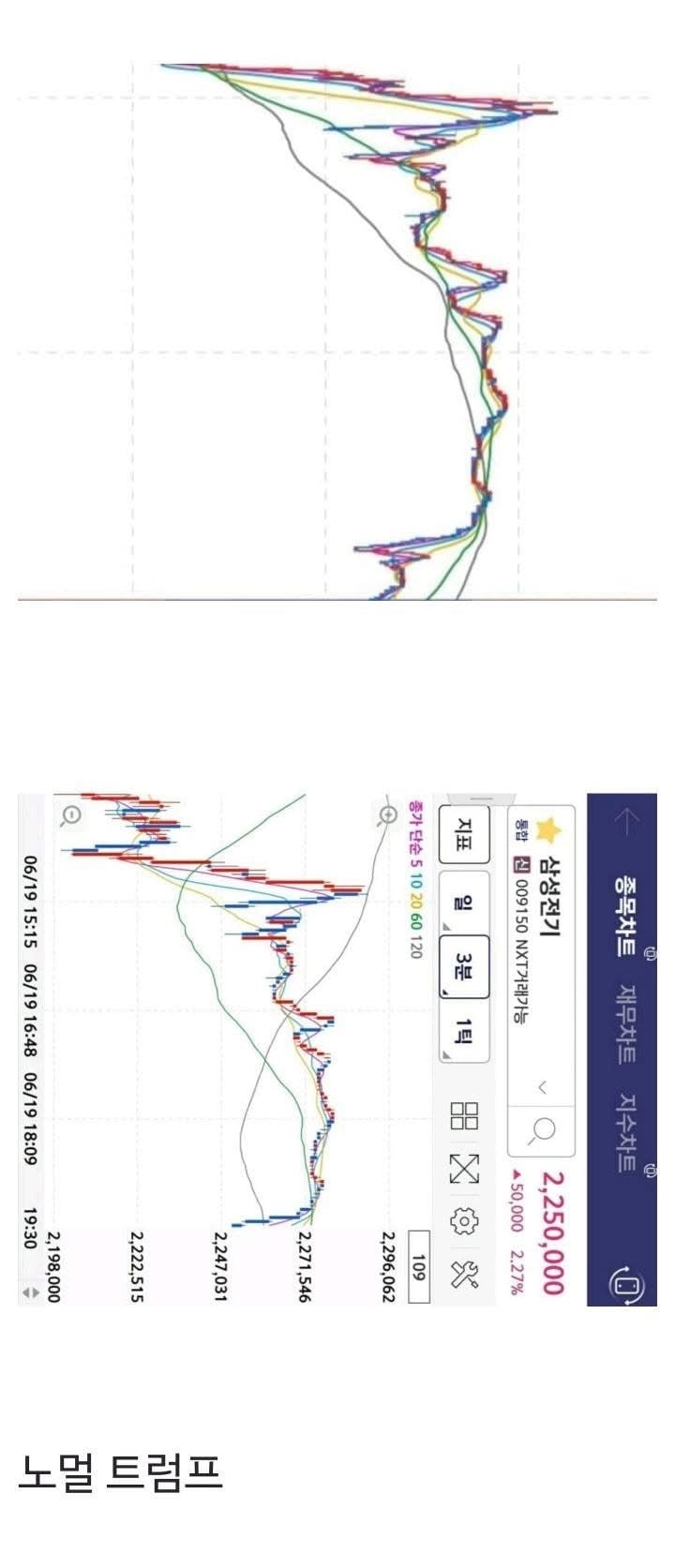 나 ㅈ된거 같다…..;;