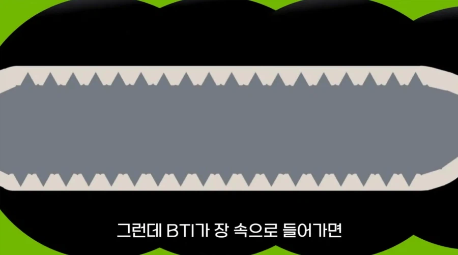 작년에 계양산을 뒤덮었던 러브버그의 천적 발견
