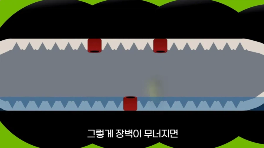 작년에 계양산을 뒤덮었던 러브버그의 천적 발견