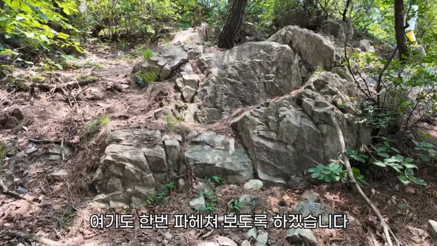 작년에 계양산을 뒤덮었던 러브버그의 천적 발견