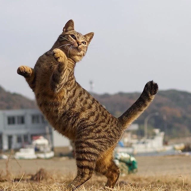 영화) 슈퍼걸이 망한 이유.movie