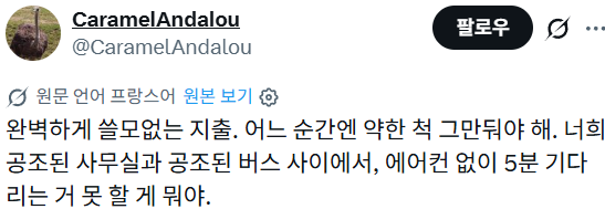 한국의 버스 쉼터에 대한 프랑스 및 여러나라 반응