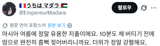 한국의 버스 쉼터에 대한 프랑스 및 여러나라 반응