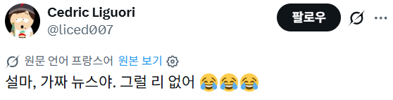 한국의 버스 쉼터에 대한 프랑스 및 여러나라 반응