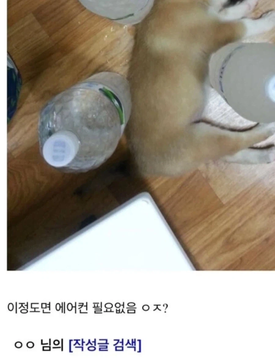 에어컨 없이 멍뭉이 시원하게 해주는 방법