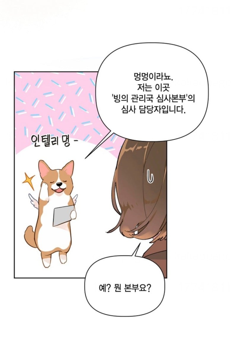 사망 1초 전에 가입한 사망 보험으로 개꿀 인생 살기 가능?