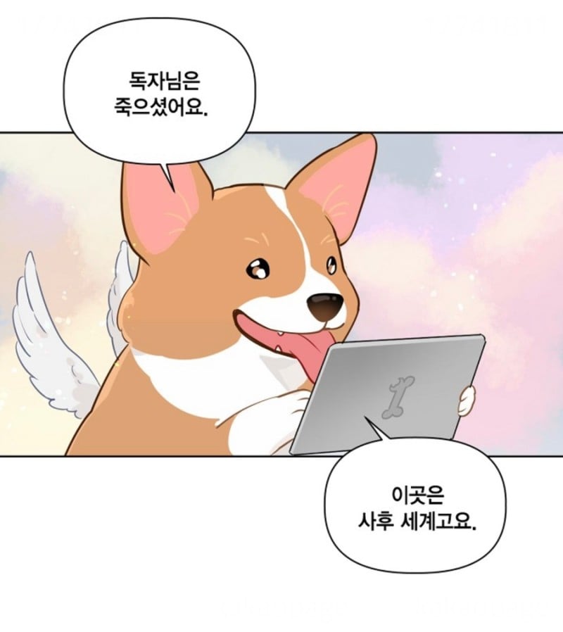 사망 1초 전에 가입한 사망 보험으로 개꿀 인생 살기 가능?