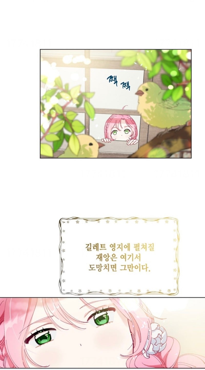 사망 1초 전에 가입한 사망 보험으로 개꿀 인생 살기 가능?