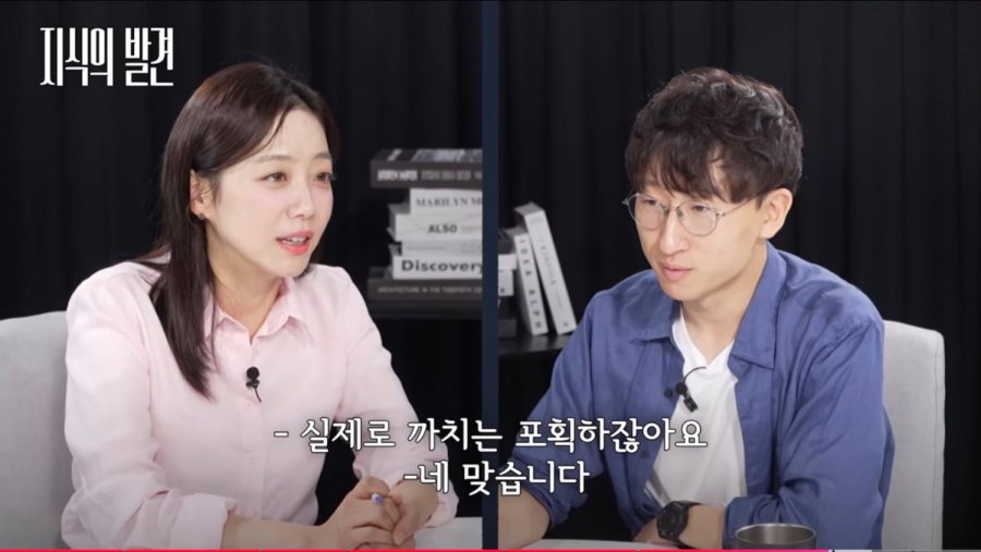[지식의 발견] 성역이 되어버린 '길고양이'의 실체