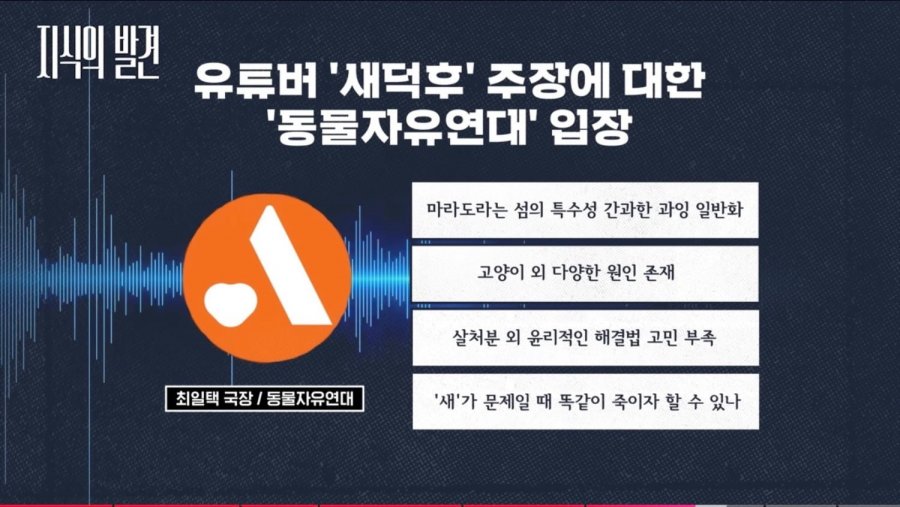 [지식의 발견] 성역이 되어버린 '길고양이'의 실체