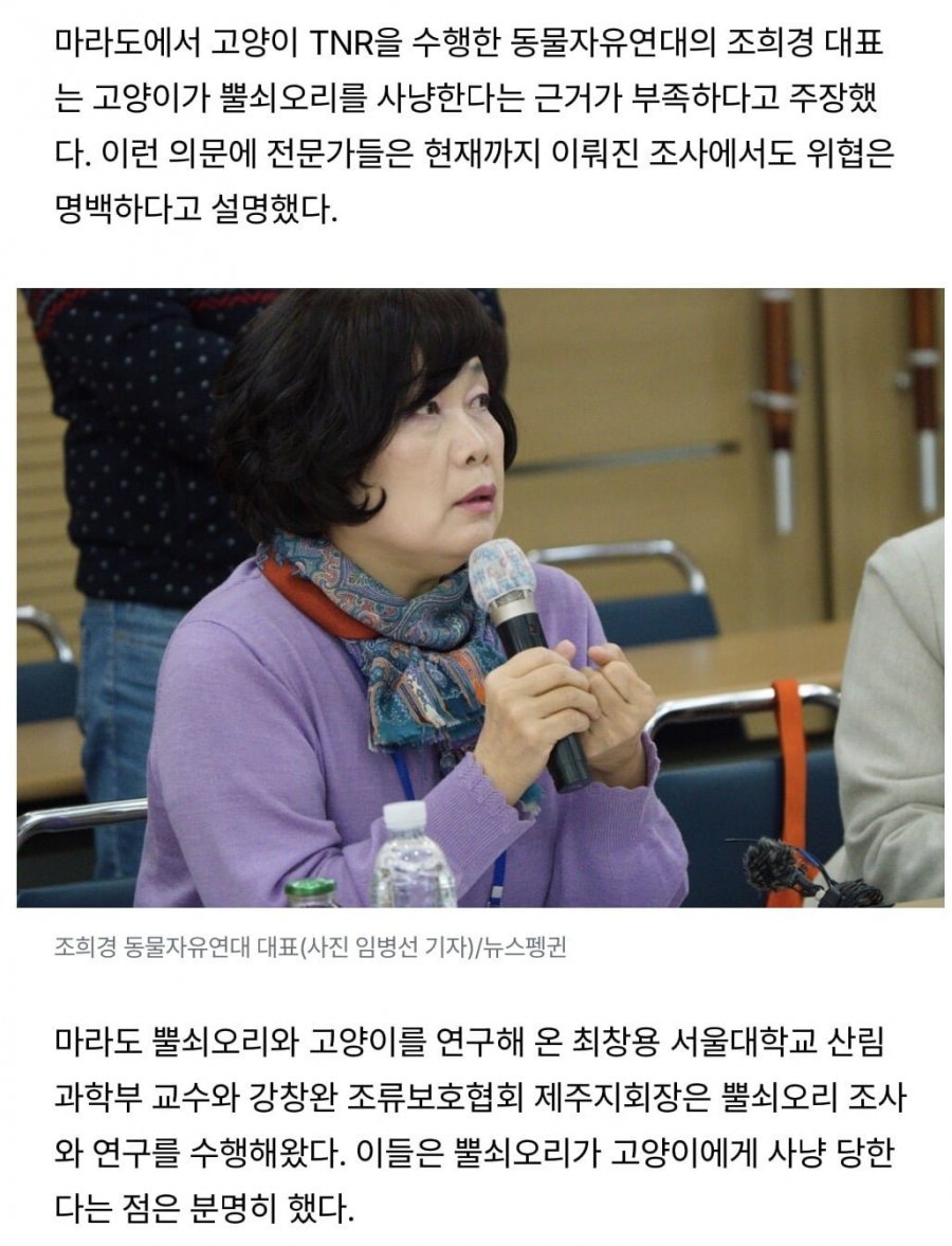 [지식의 발견] 성역이 되어버린 '길고양이'의 실체