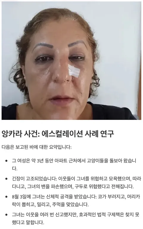 오늘은 강남 아파트, 내일은 동대문 아파트
