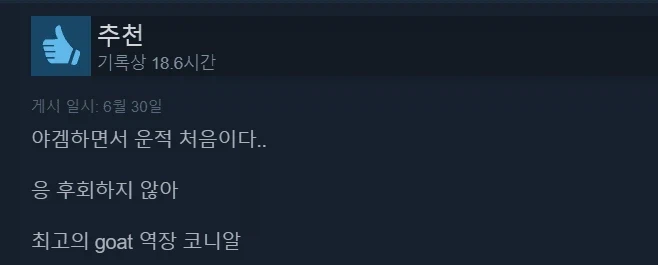 스팀에서 압도적으로 긍정적 찍은 게임