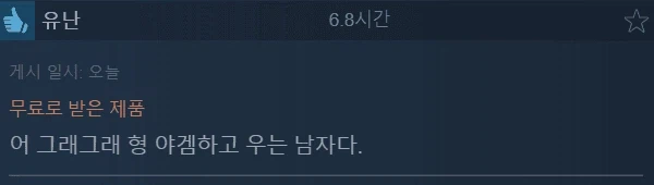 스팀에서 압도적으로 긍정적 찍은 게임