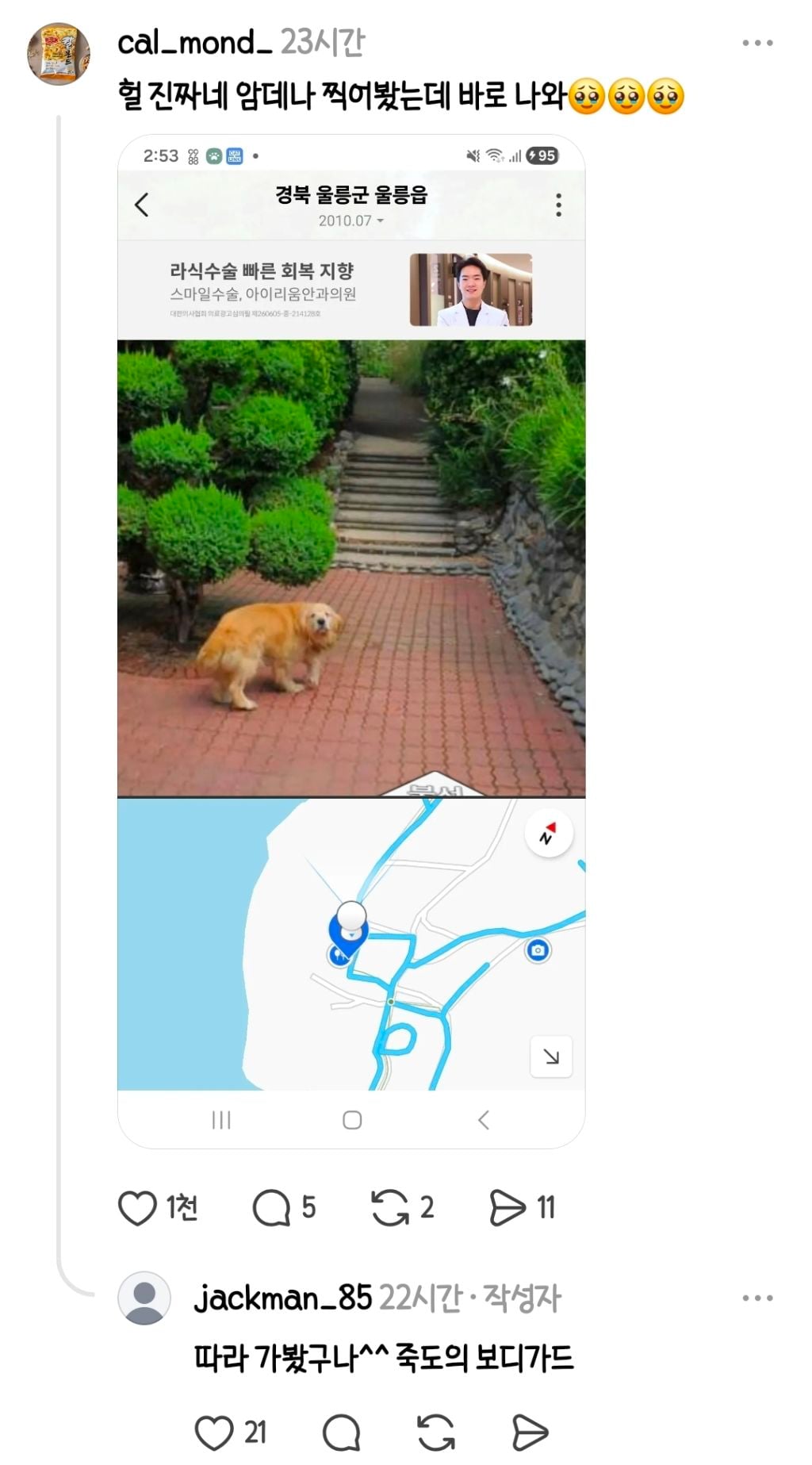 울릉도 죽도 카카오맵 로드뷰가 2010년에 멈춘 이유