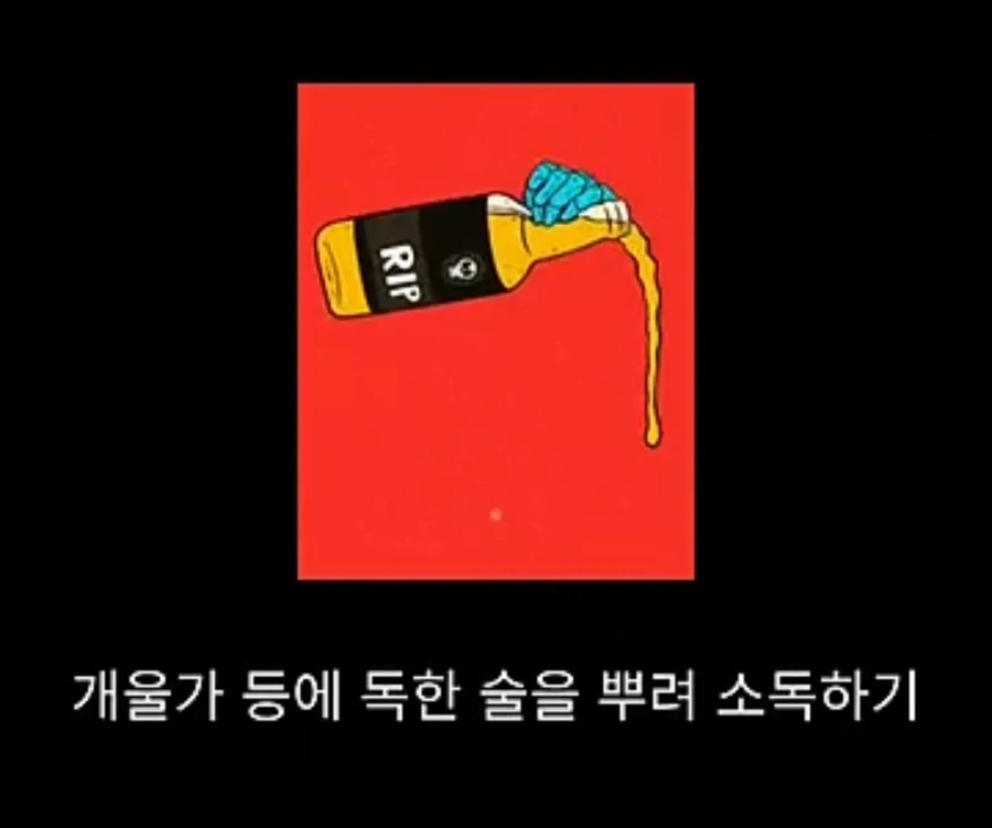 프랑스에서 흑사병을 퇴치시킨 의사의 정체