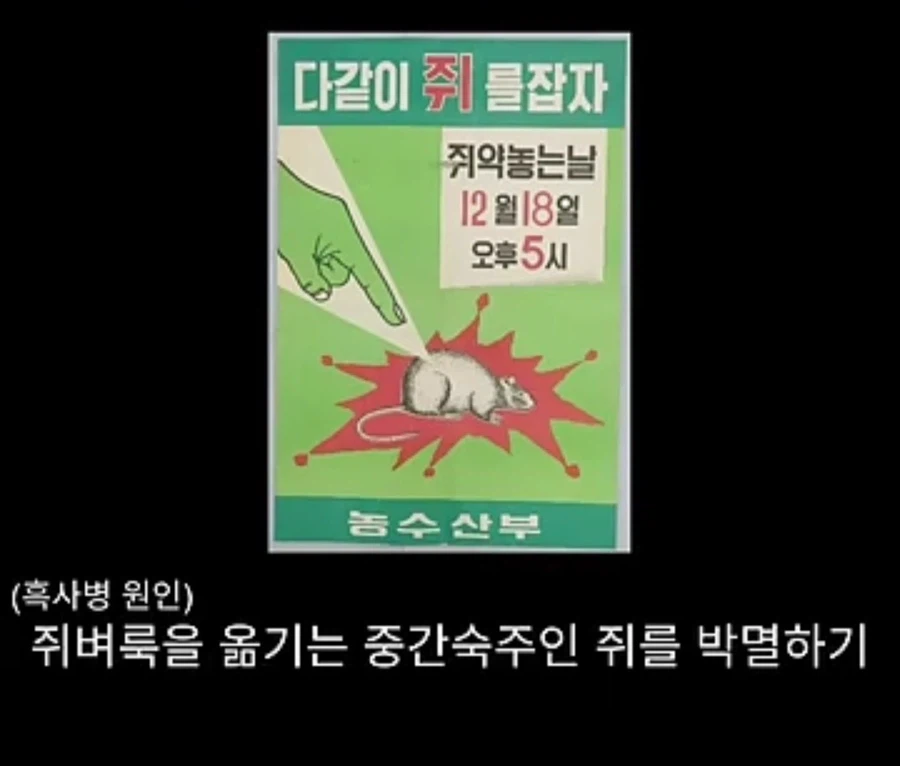 프랑스에서 흑사병을 퇴치시킨 의사의 정체
