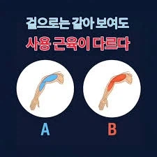 일본 여배우 사건에 대한 개인적인 생각