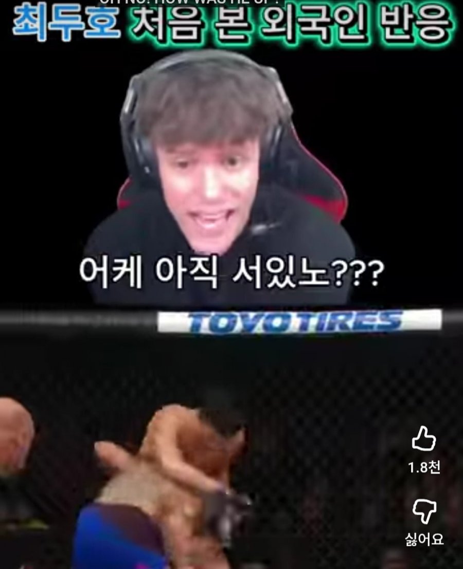 일베식 손투리 구분법 jpg