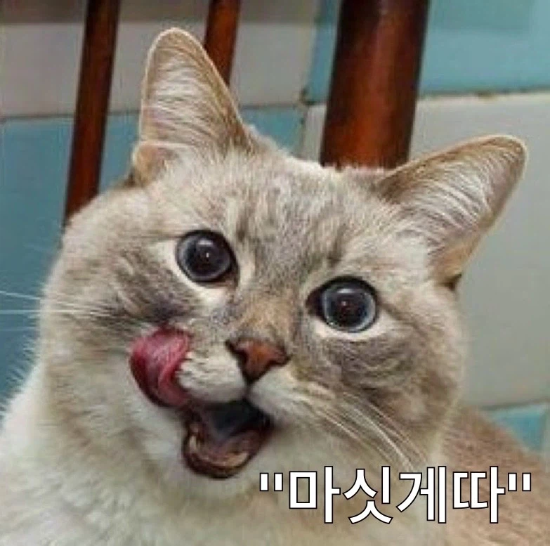 [마비M] "플레이어 이름이 음식 이름이면??"