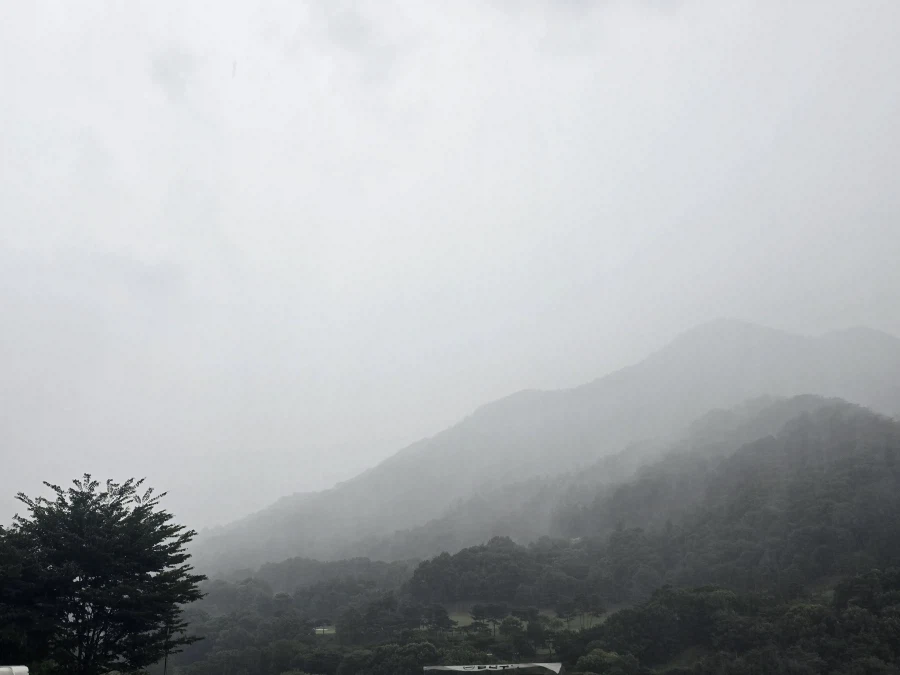 쿠팡 신호수 꿀이라며!!!