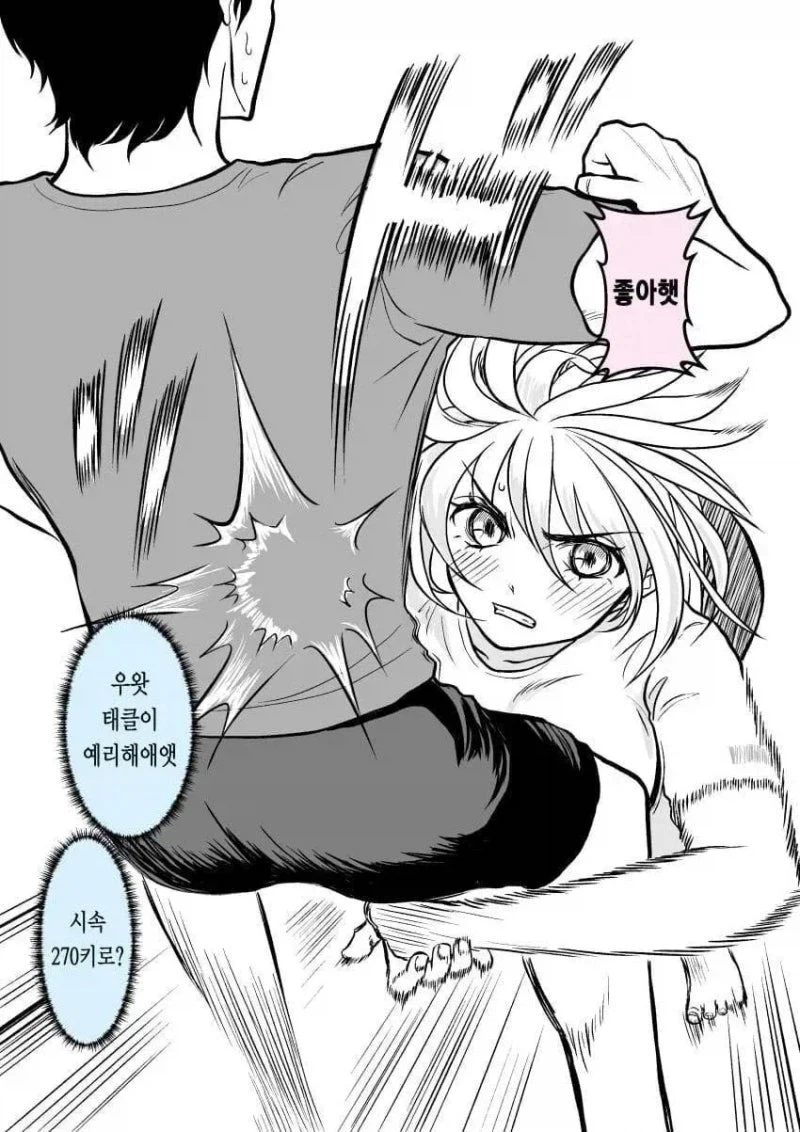 격투기로 고백하는 만화.manhwa