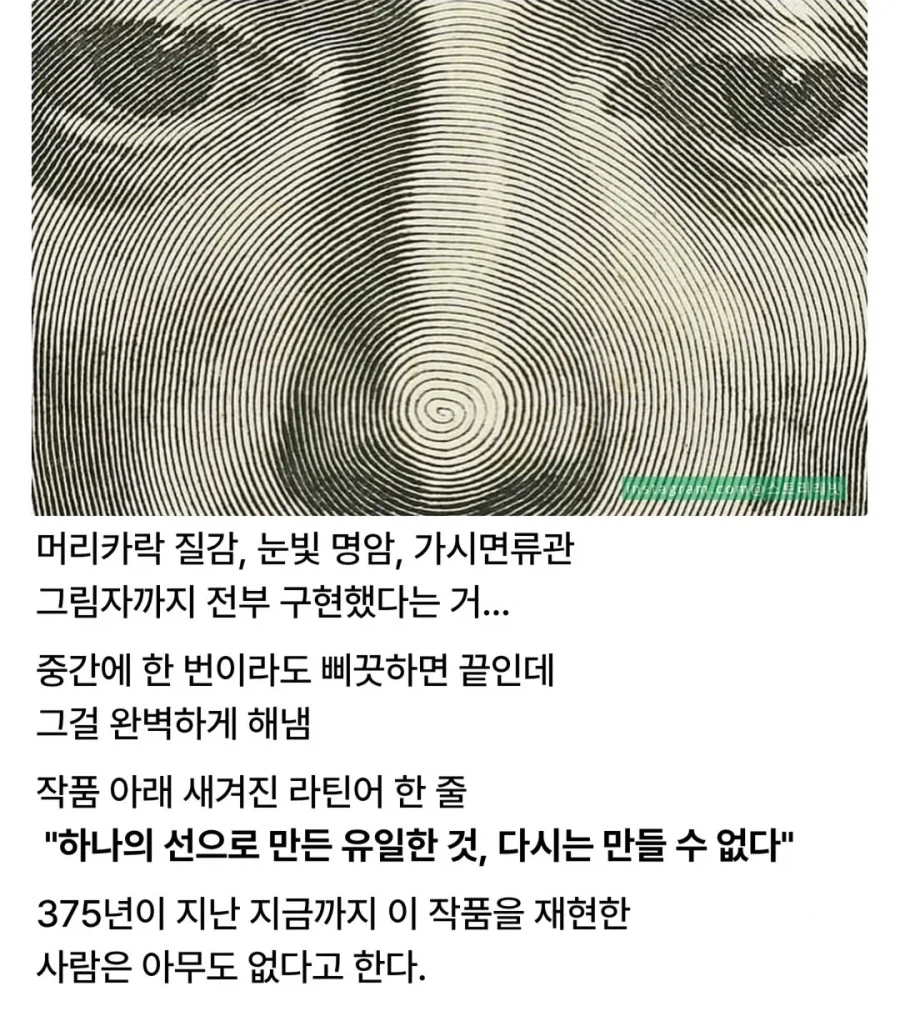 오직 선 하나로만 그린 그림