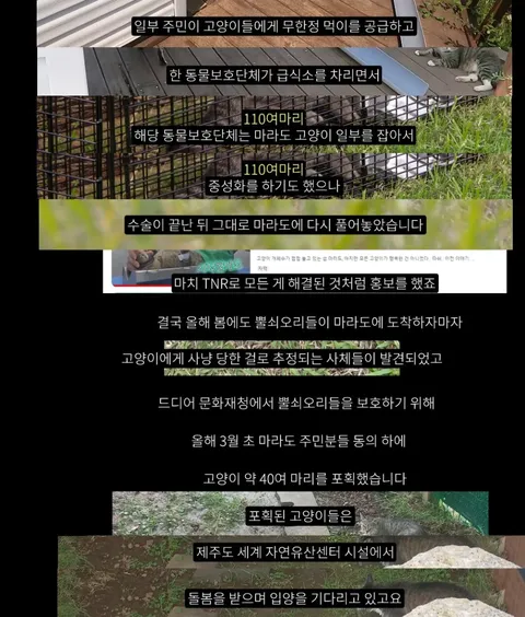 멸종위기 맹꽁이 서식지에 지자체가 벌인 일