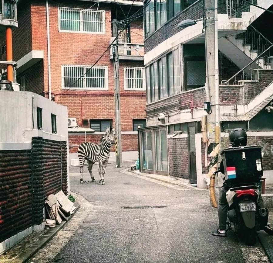 순간 조현병인가 의심받은 대학생