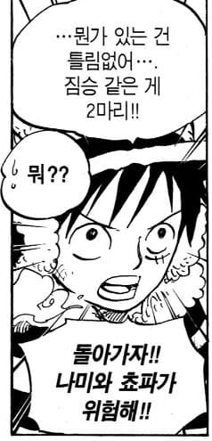 원피스) 루피 눈이 총명함으로 반짝였던 순간들