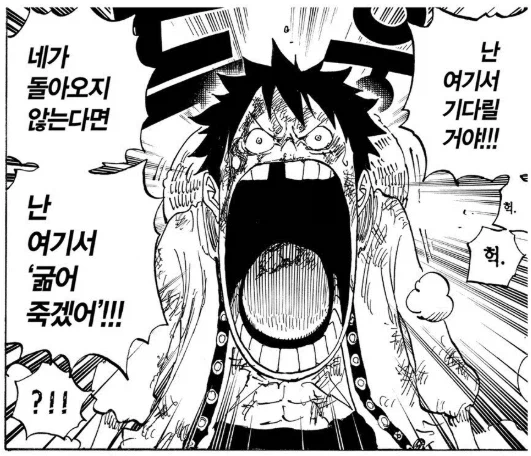 원피스) 루피 눈이 총명함으로 반짝였던 순간들