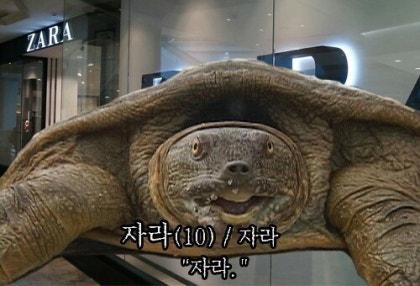 여우타기야