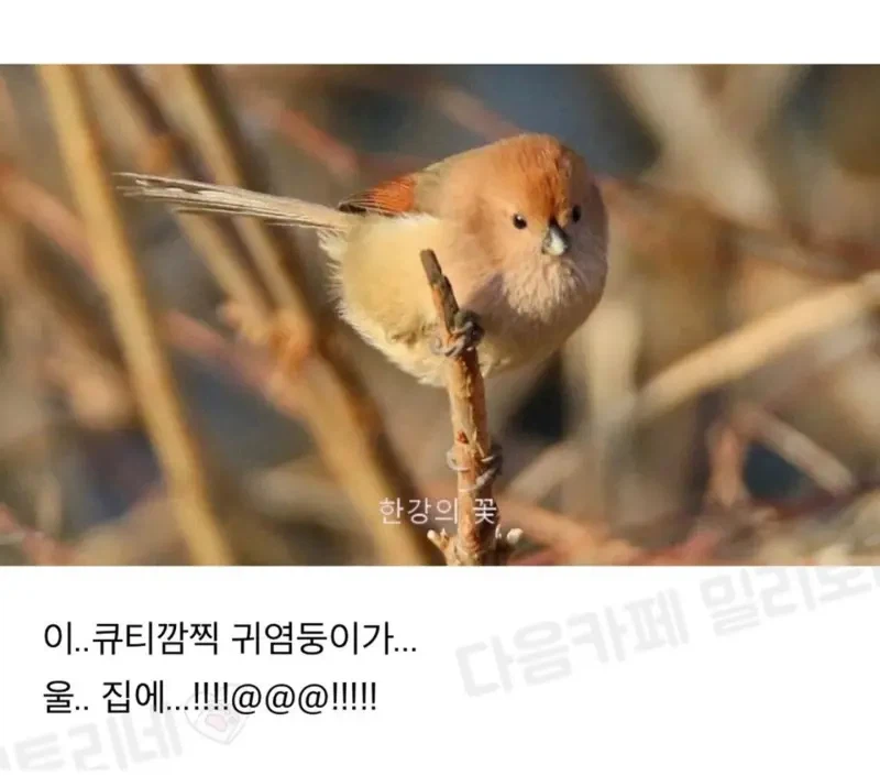 대박 우리집 하숙 들어왔는머?!