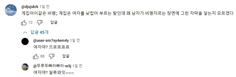 (인방)페미에게 좌표찍힌 대형 스트리머