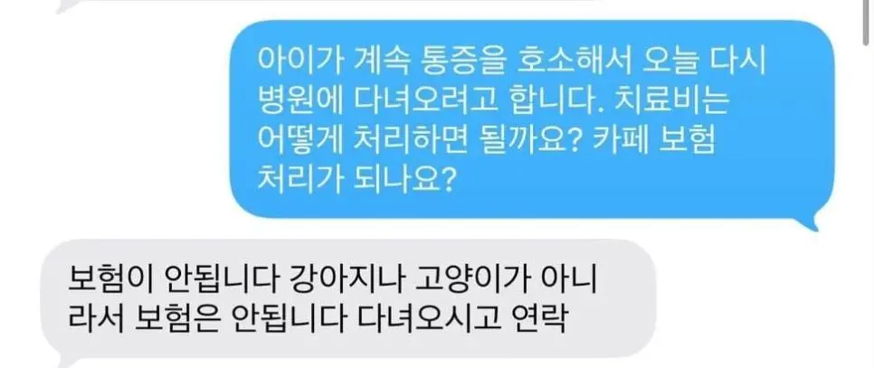 카페 돼지물림사고. JPG