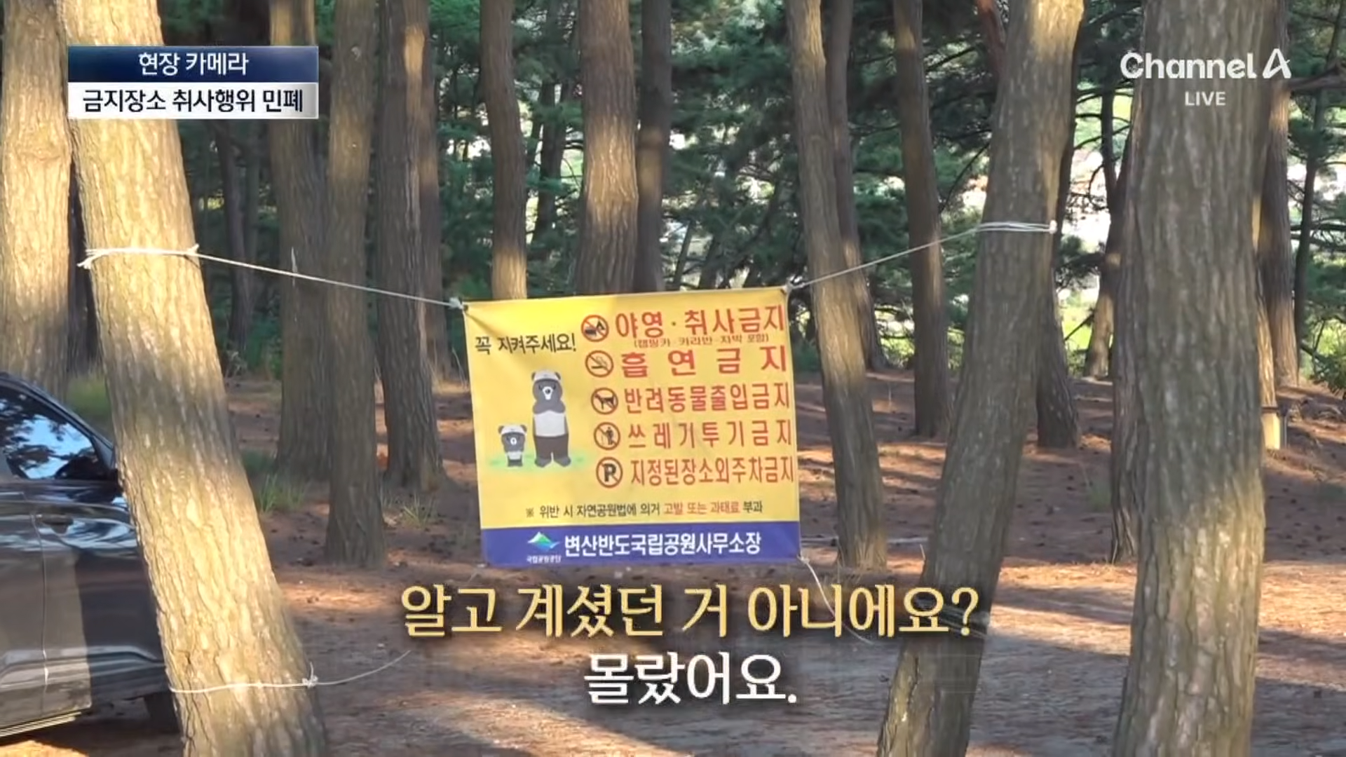 금지구역서 캠핑 걸리자 “불지르고 싶네”