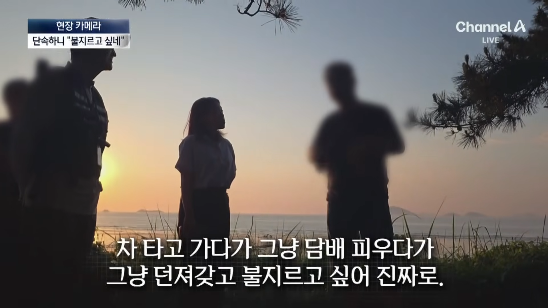 금지구역서 캠핑 걸리자 “불지르고 싶네”