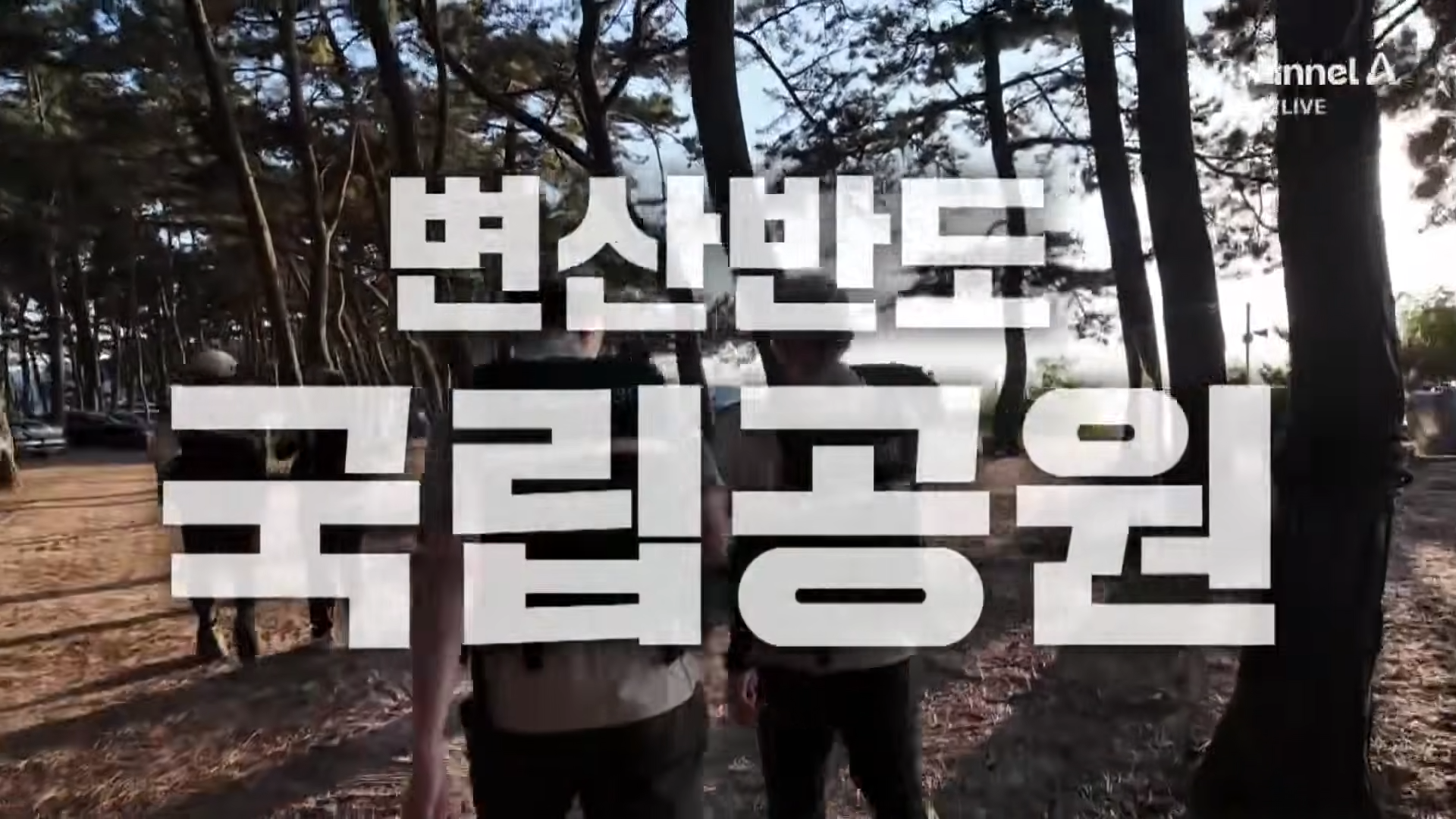 금지구역서 캠핑 걸리자 “불지르고 싶네”