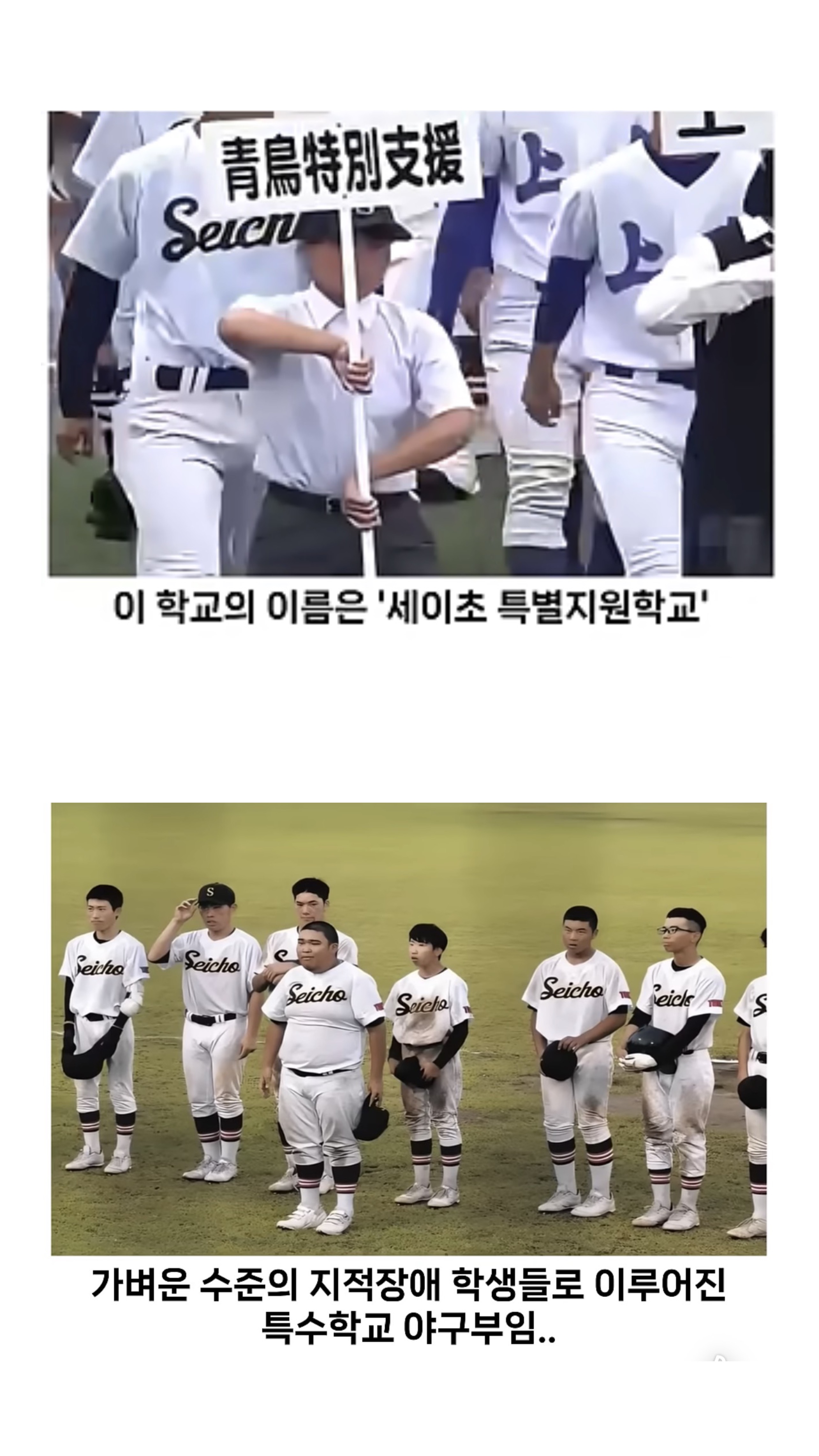 진짜 야구를 하는 일본 고등학교ㄷㄷㄷㄷ.jpg