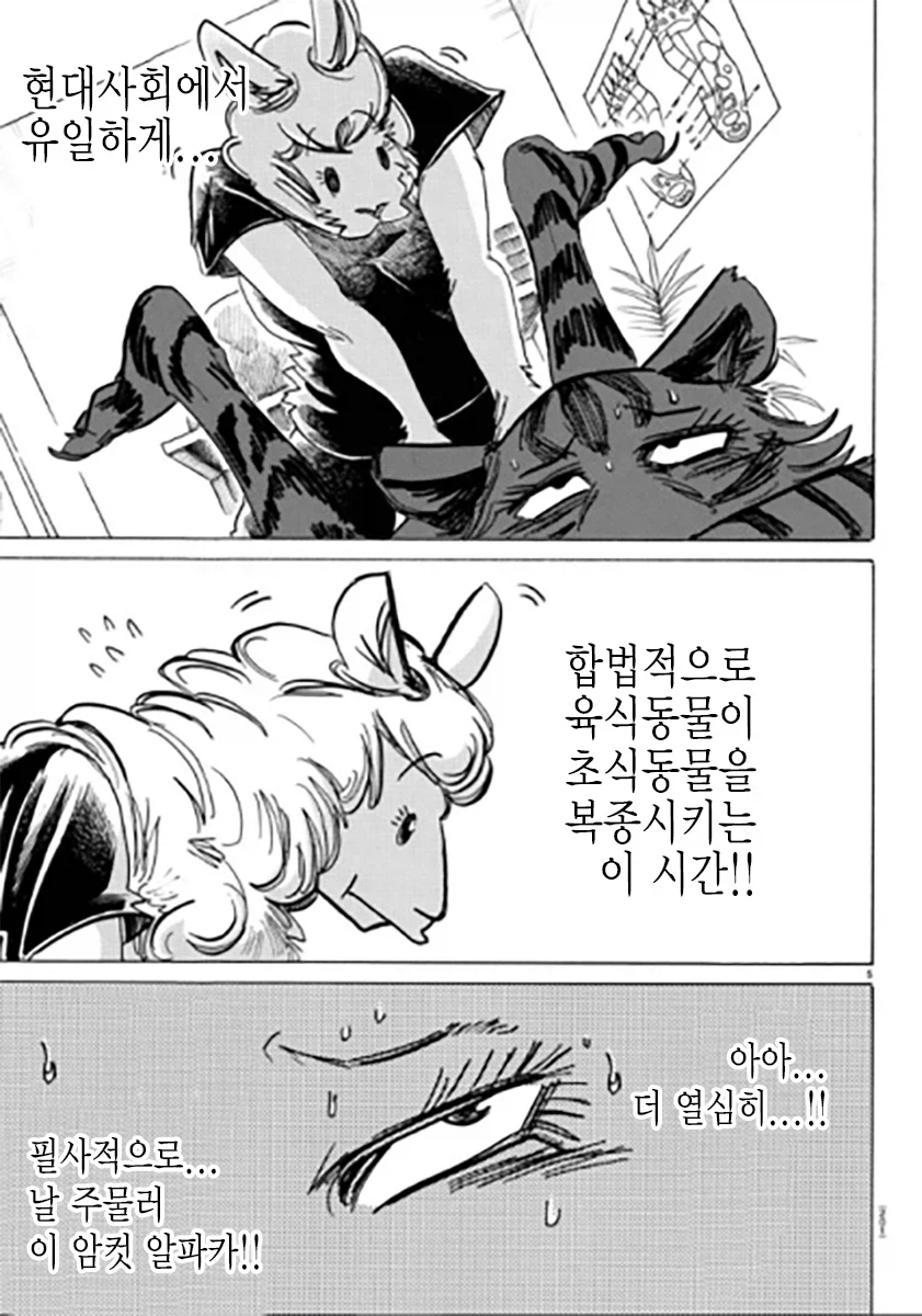이타가키 파루 특