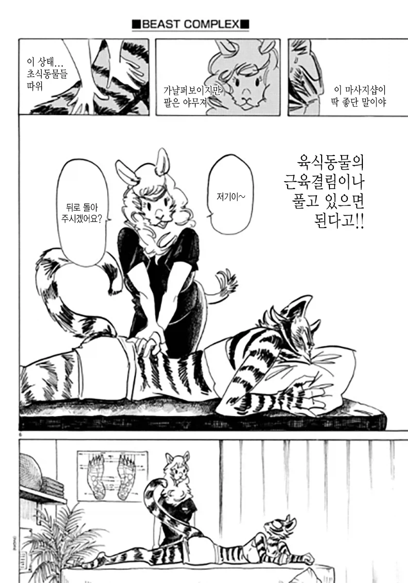 이타가키 파루 특