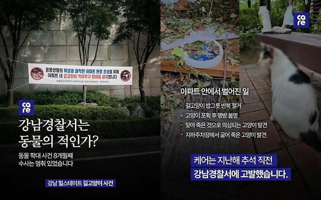 오늘은 강남 아파트, 내일은 동대문 아파트