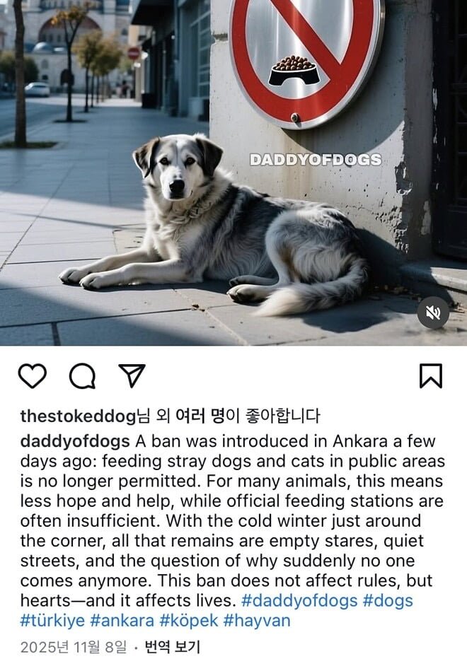 오늘은 강남 아파트, 내일은 동대문 아파트