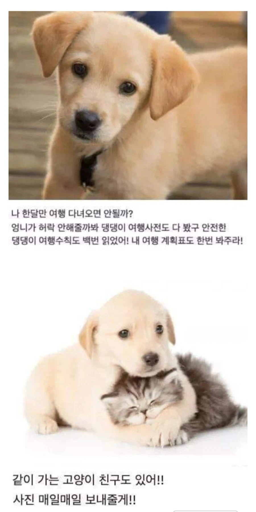 여행간다고 했을때 부모님이 극구 반대하신 이유를 깨달은 사람들