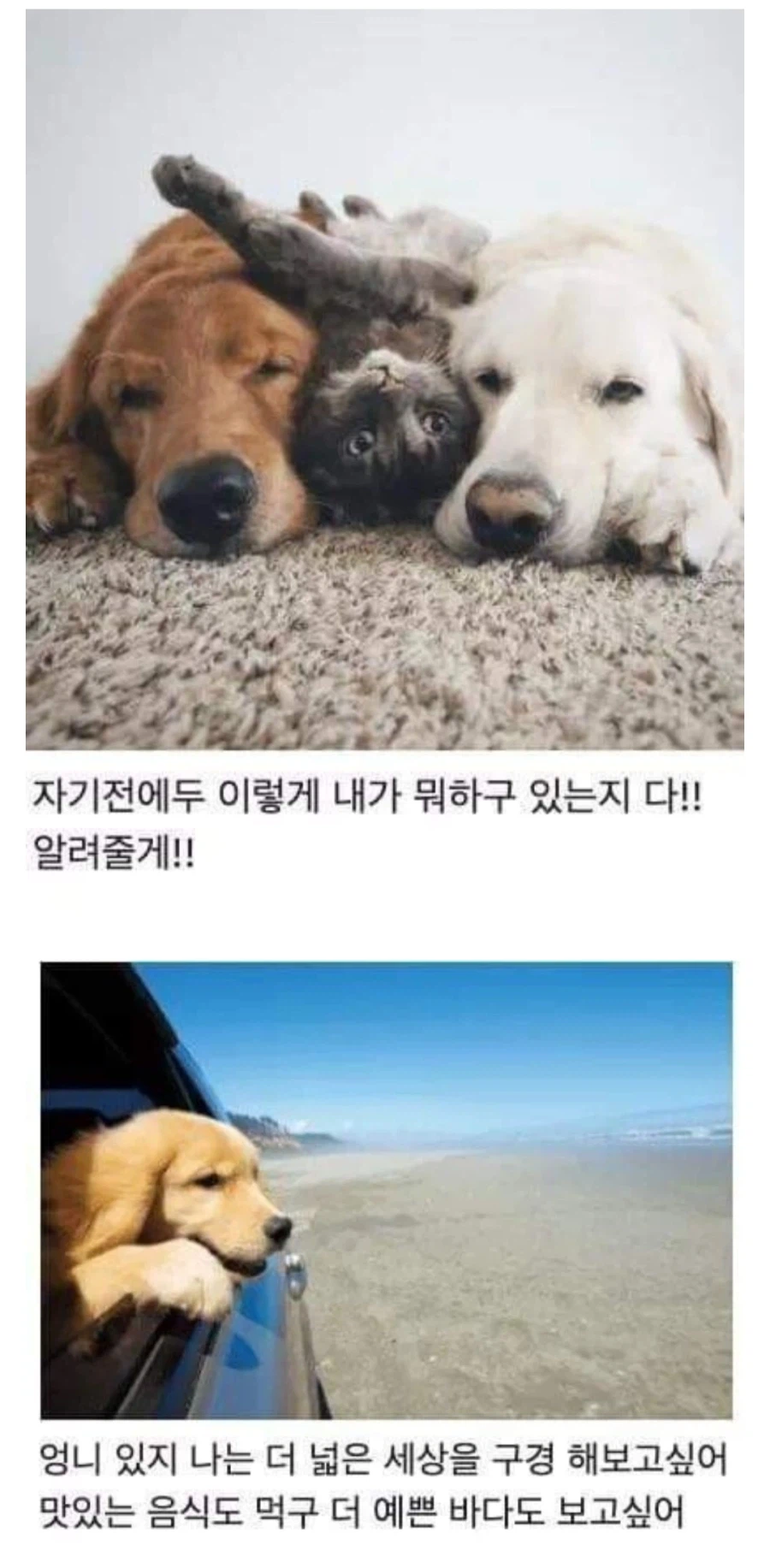여행간다고 했을때 부모님이 극구 반대하신 이유를 깨달은 사람들