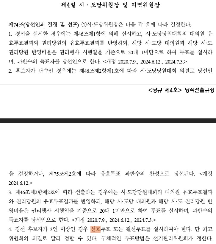 당대표 관련 당규 문의