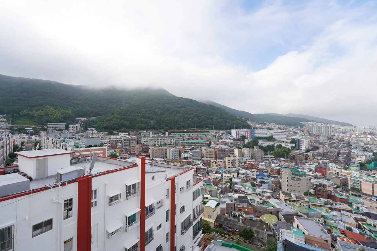 부산 습도 근황 (有)