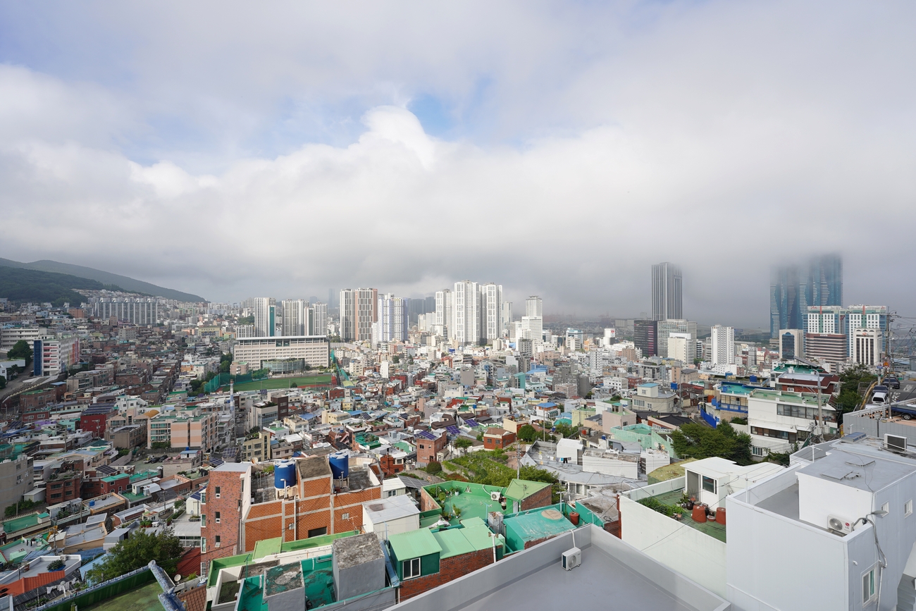 부산 습도 근황 (有)