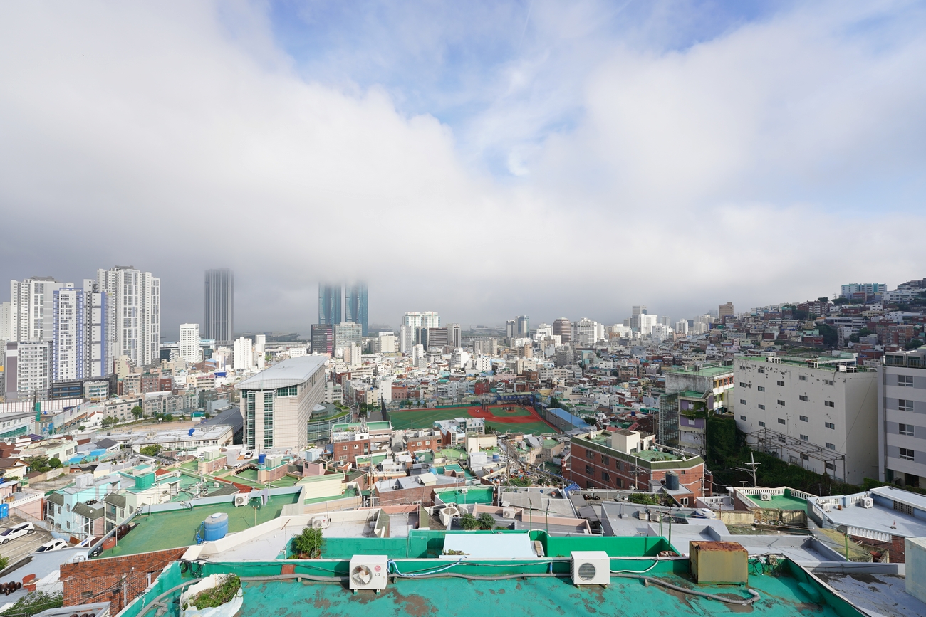 부산 습도 근황 (有)