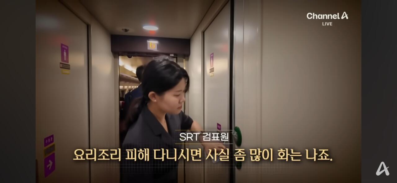 심각하다는 SRT 무임승차 근황